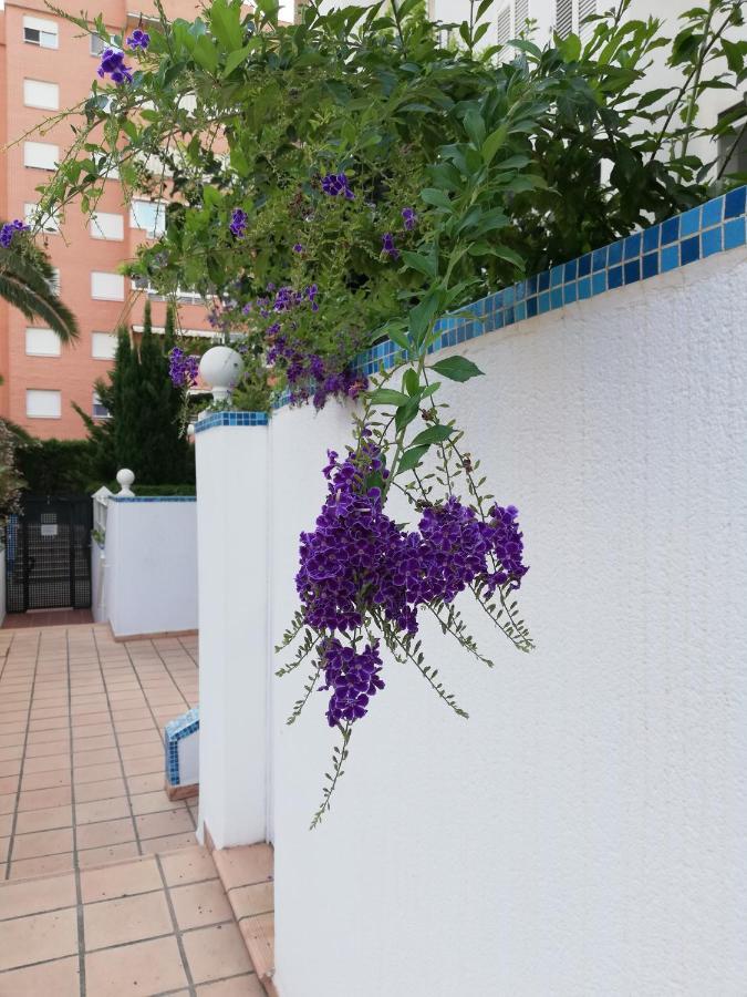 Casablanca Mediterranean Benidorm Exterior photo